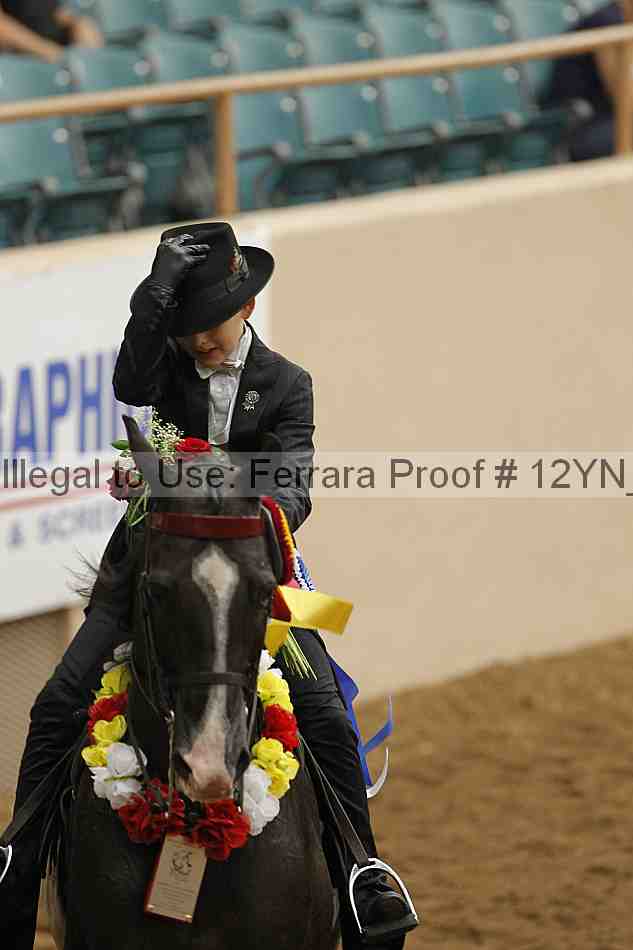Proof 12yn_04893