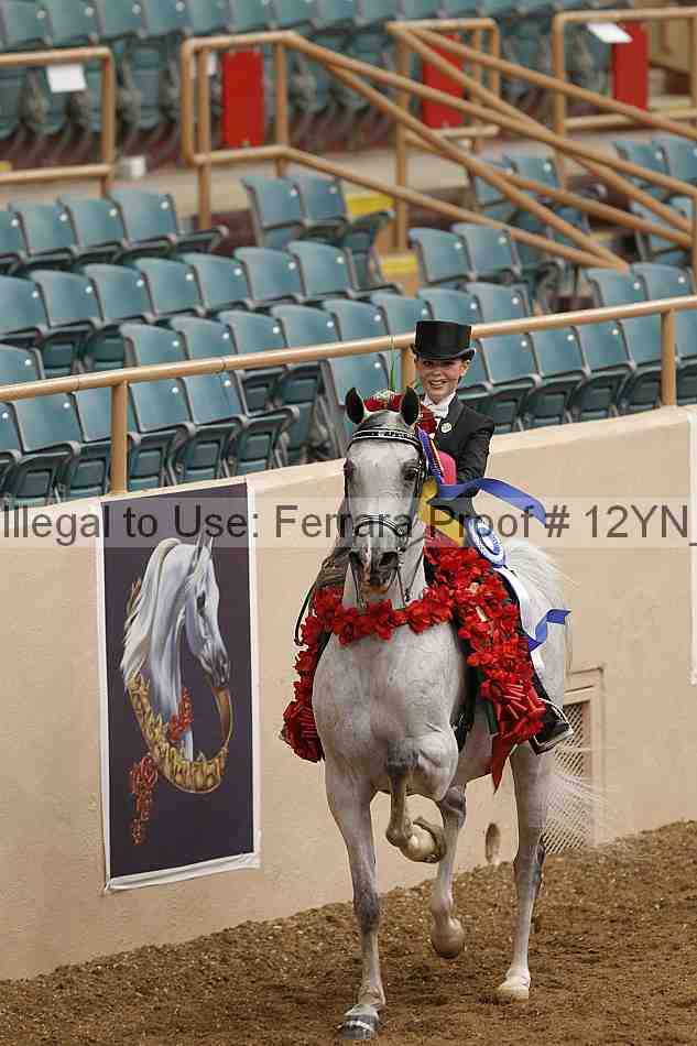 Proof 12yn_04902