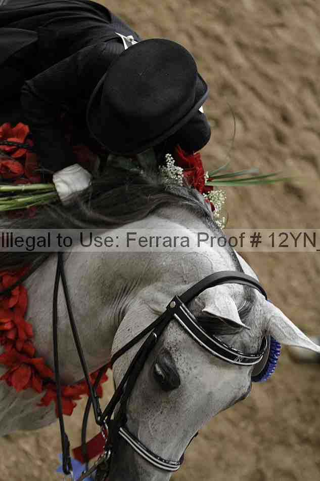 Proof 12yn_04903