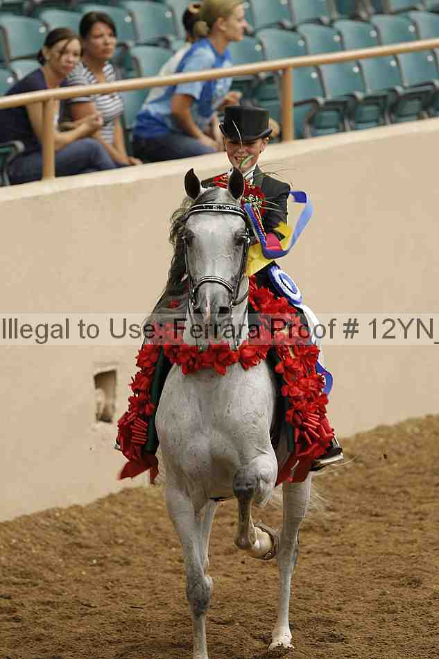 Proof 12yn_04905