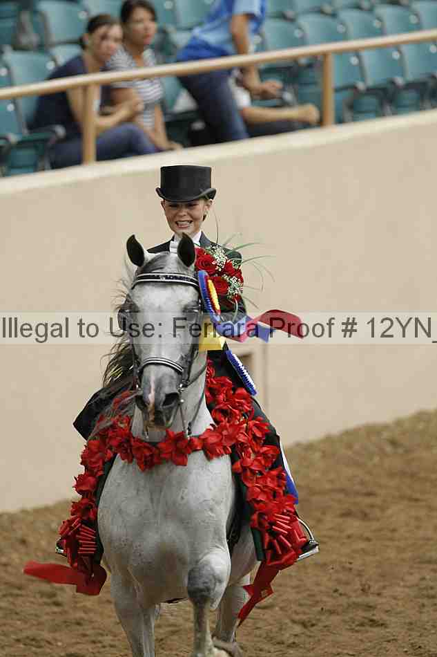 Proof 12yn_04906