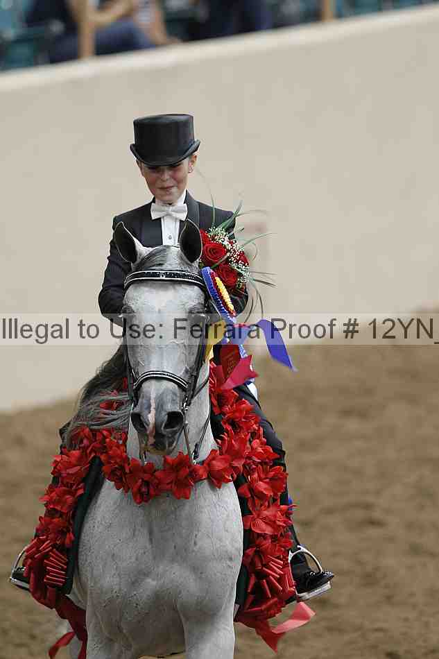 Proof 12yn_04907