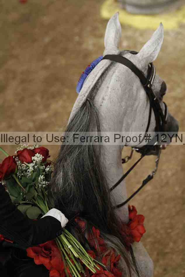Proof 12yn_04908