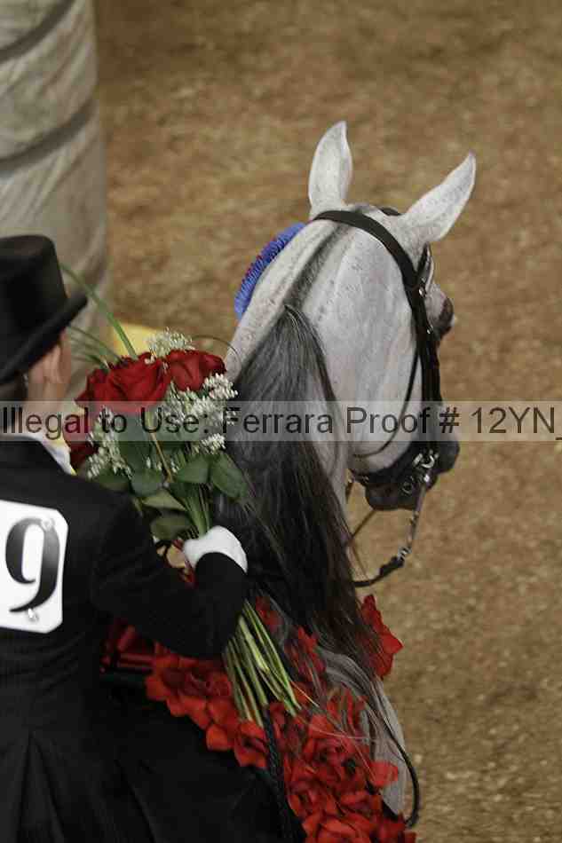 Proof 12yn_04909