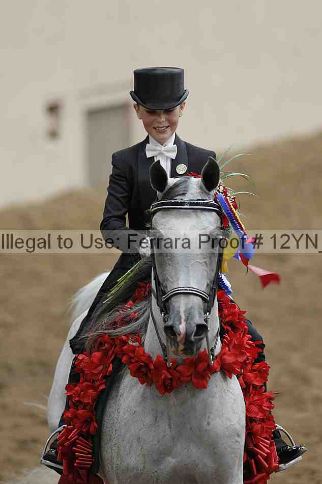 Proof 12yn_04910