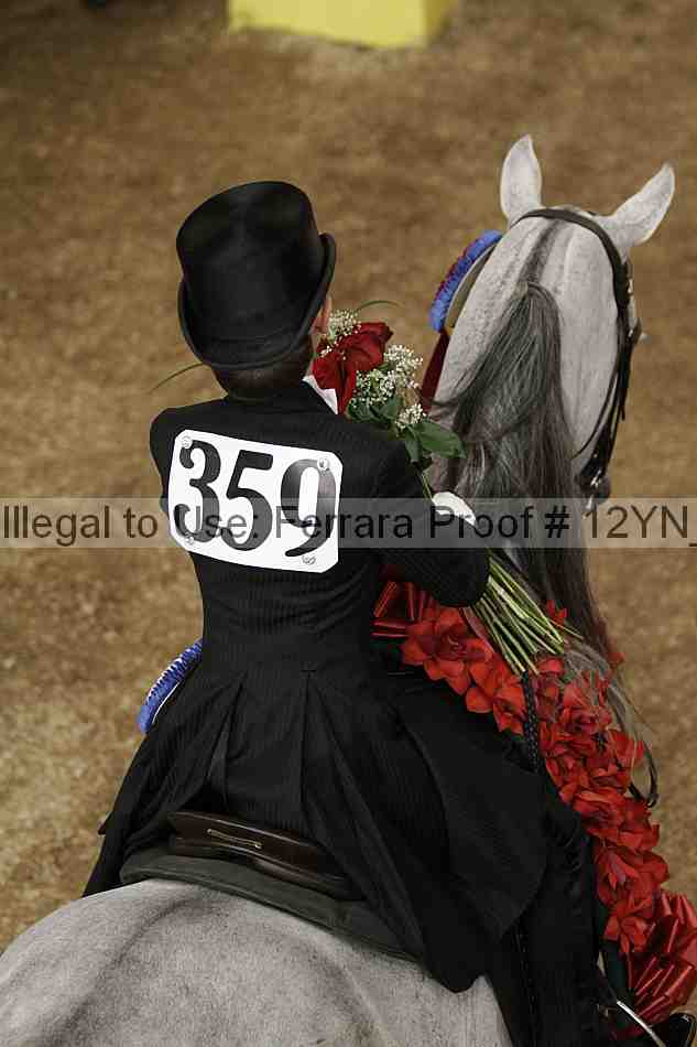 Proof 12yn_04911
