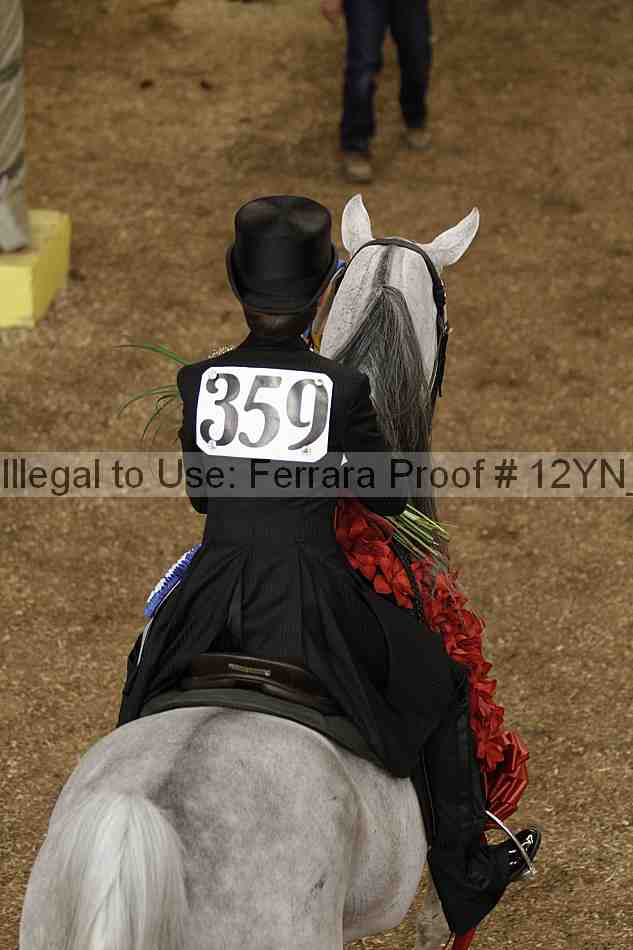 Proof 12yn_04912