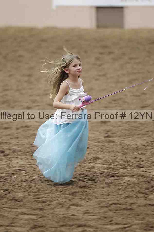 Proof 12yn_24409