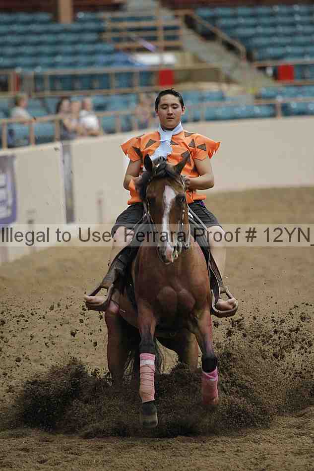 Proof 12yn_24535