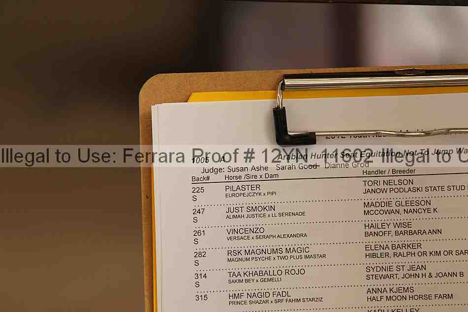 Proof 12yn_11602