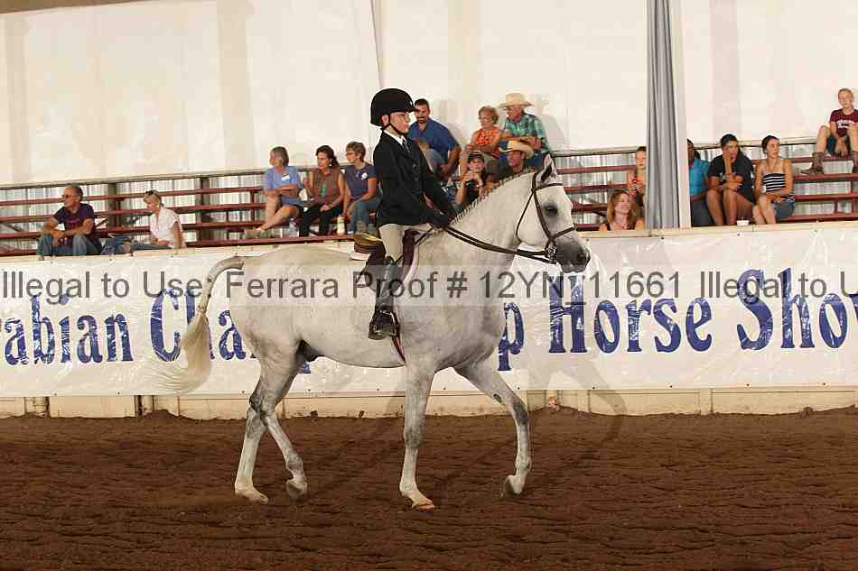 Proof 12yn_11661