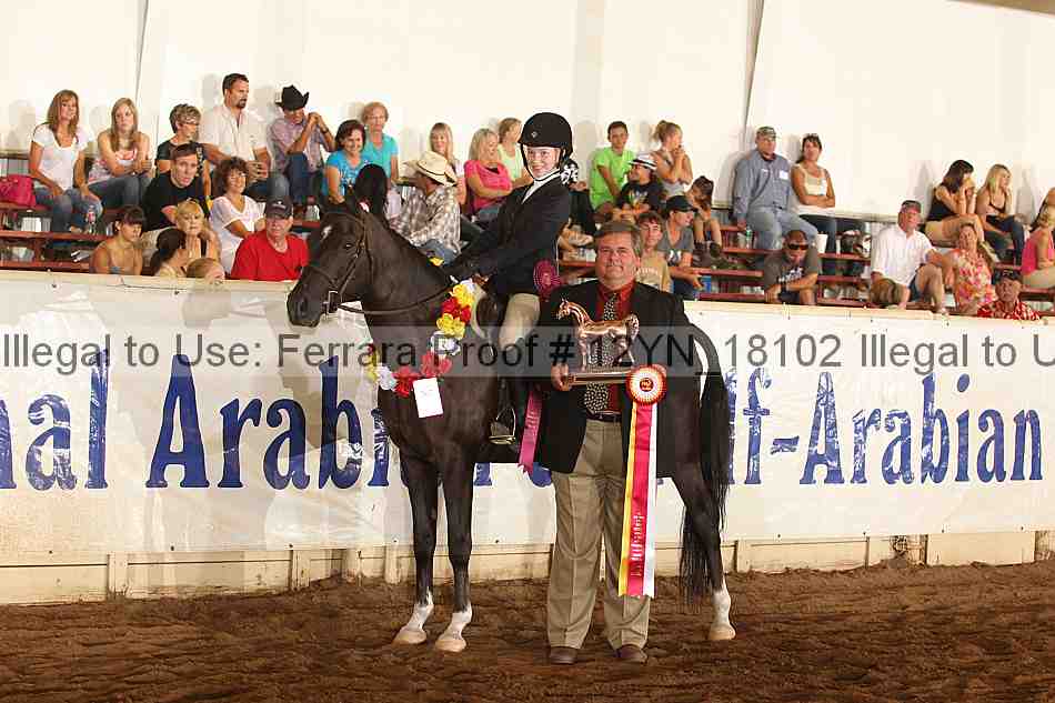 Proof 12yn_18102