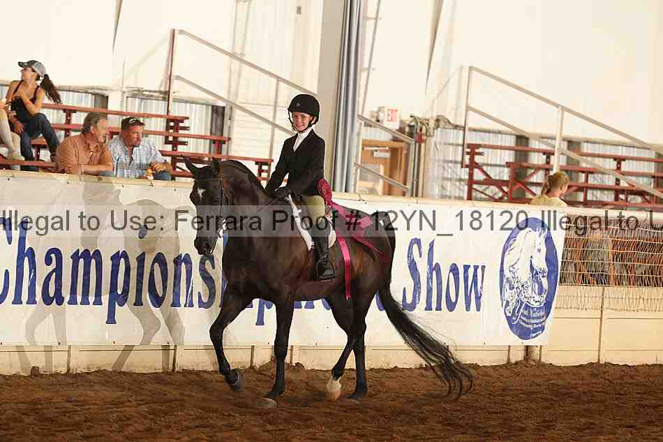 Proof 12yn_18120