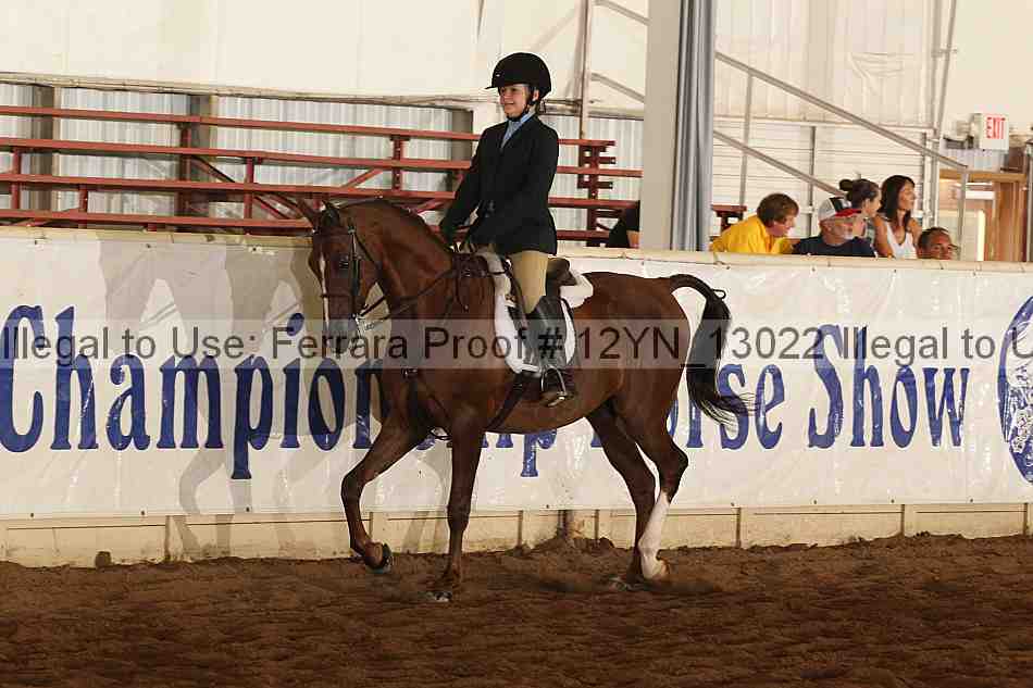 Proof 12yn_13022