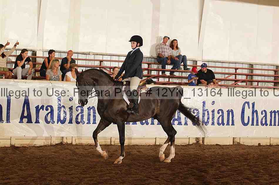 Proof 12yn_13164