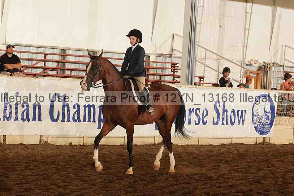 Proof 12yn_13168