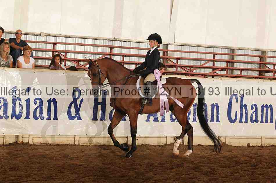 Proof 12yn_13193