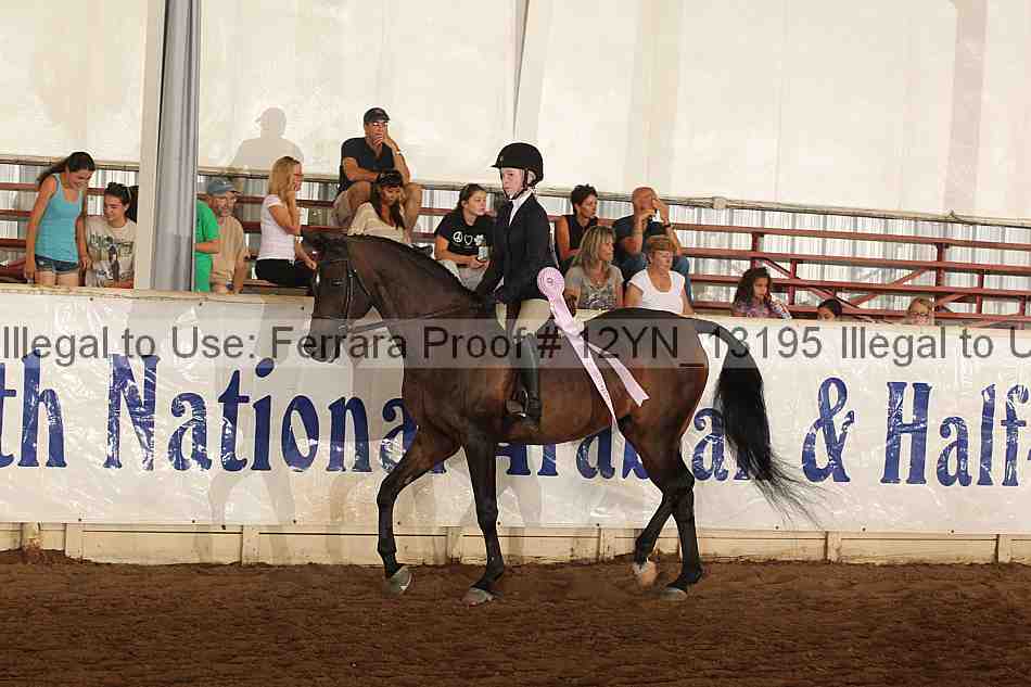 Proof 12yn_13195