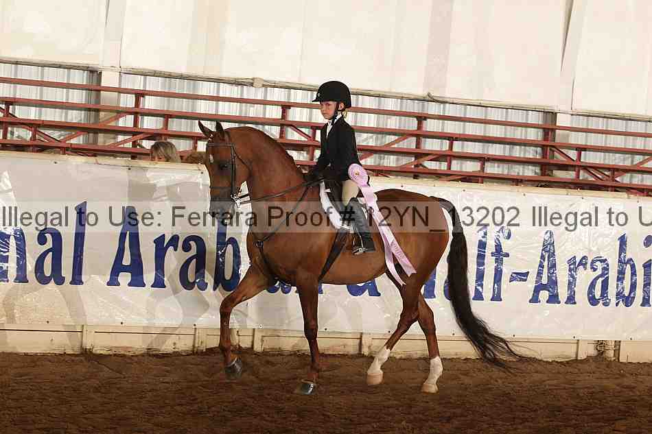 Proof 12yn_13202