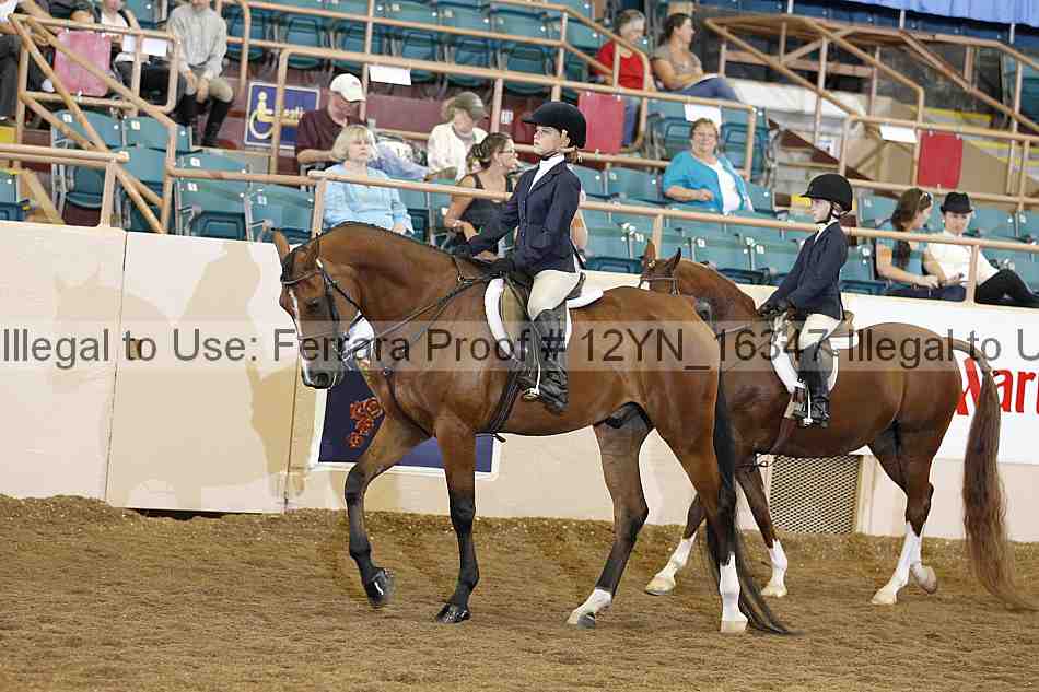 Proof 12yn_16347