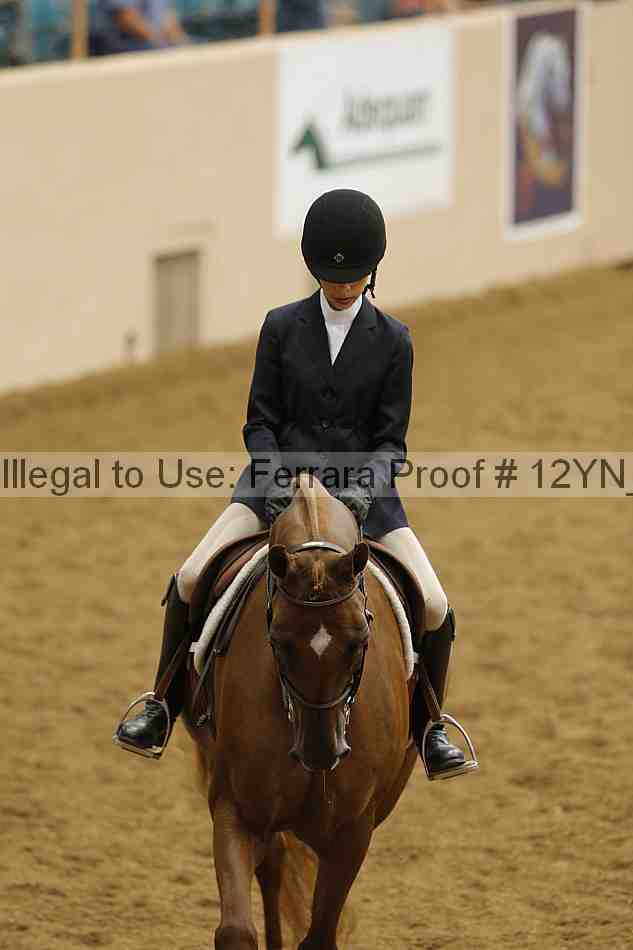 Proof 12yn_16376