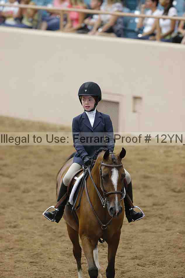 Proof 12yn_16418