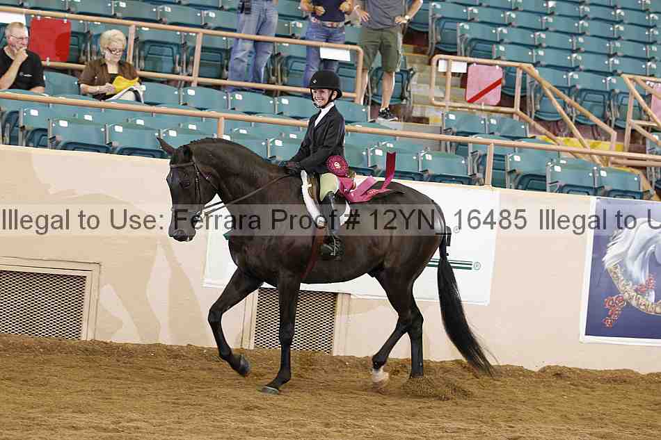 Proof 12yn_16485