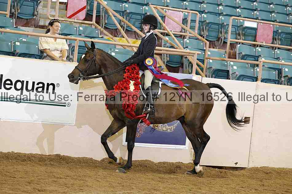 Proof 12yn_16526