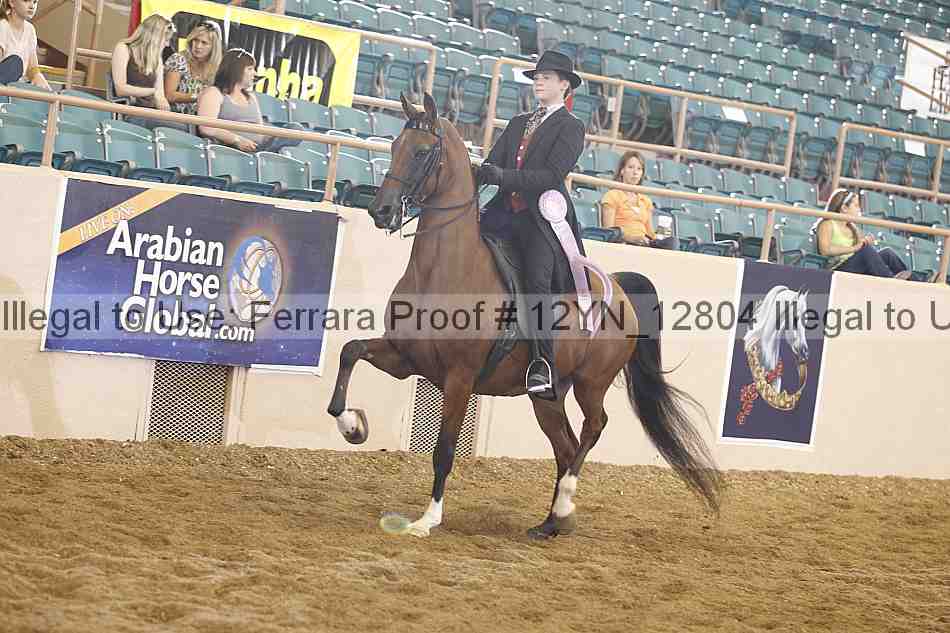 Proof 12yn_12804
