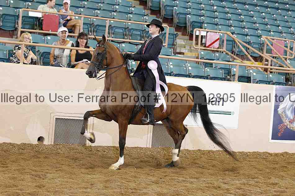 Proof 12yn_12805