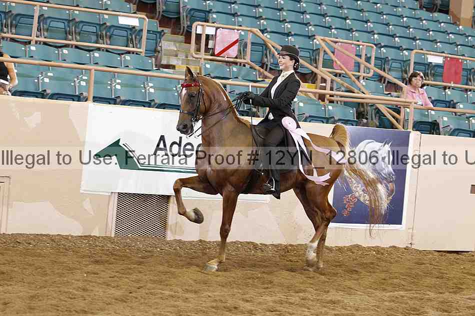 Proof 12yn_12806