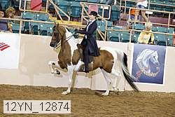12yn_12874 proof