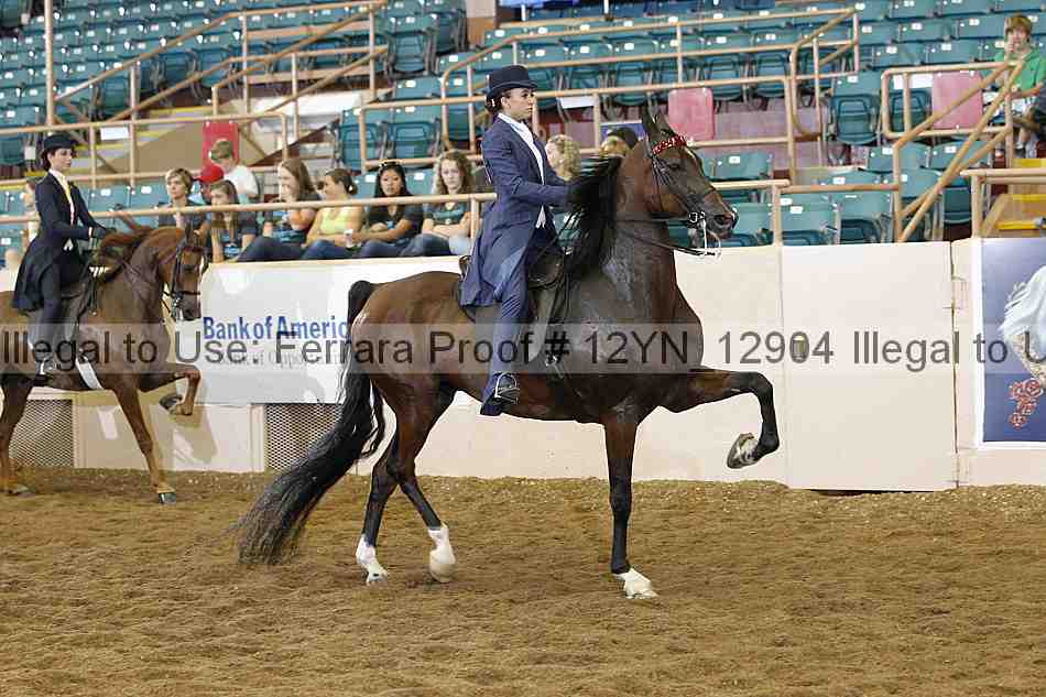 Proof 12yn_12904