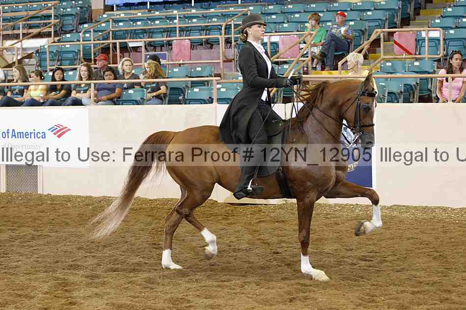 Proof 12yn_12905