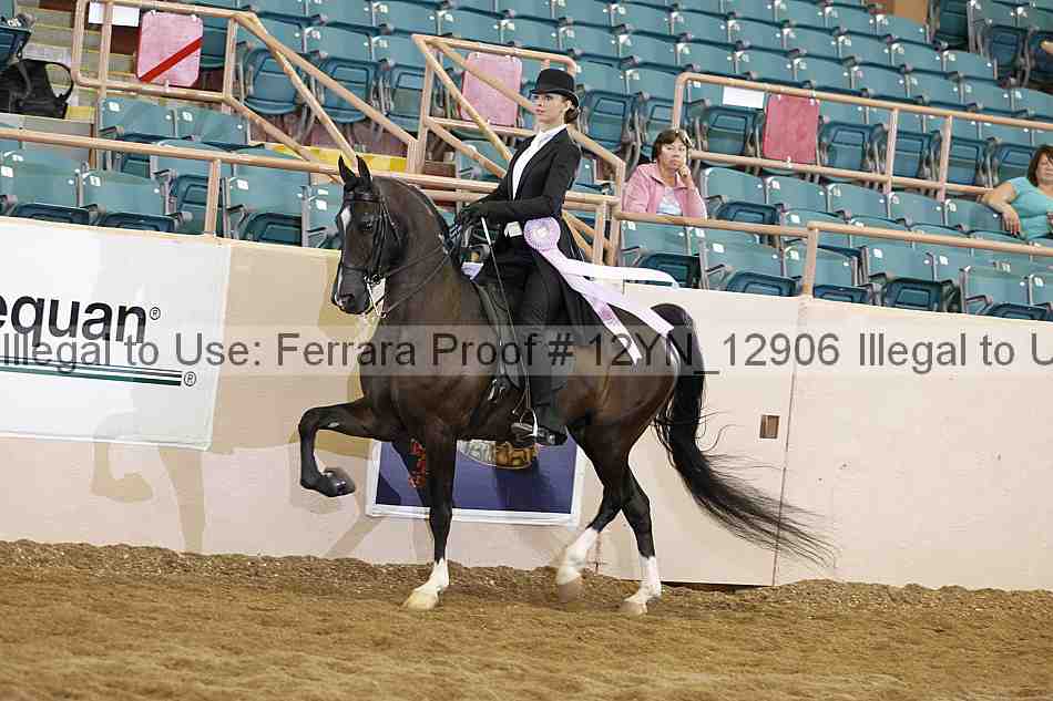 Proof 12yn_12906