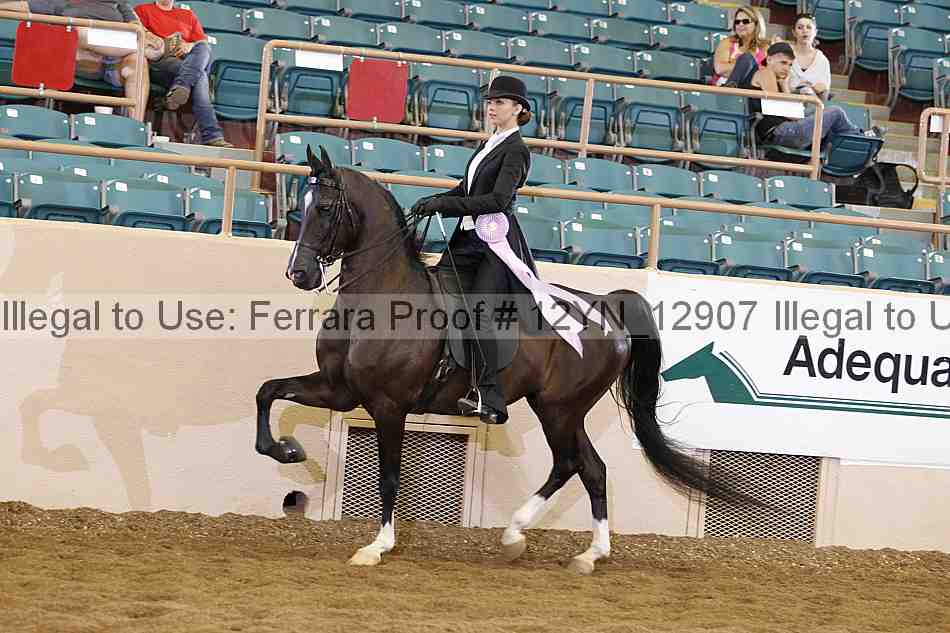 Proof 12yn_12907