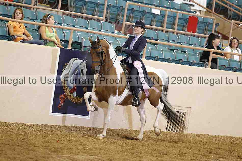 Proof 12yn_12908