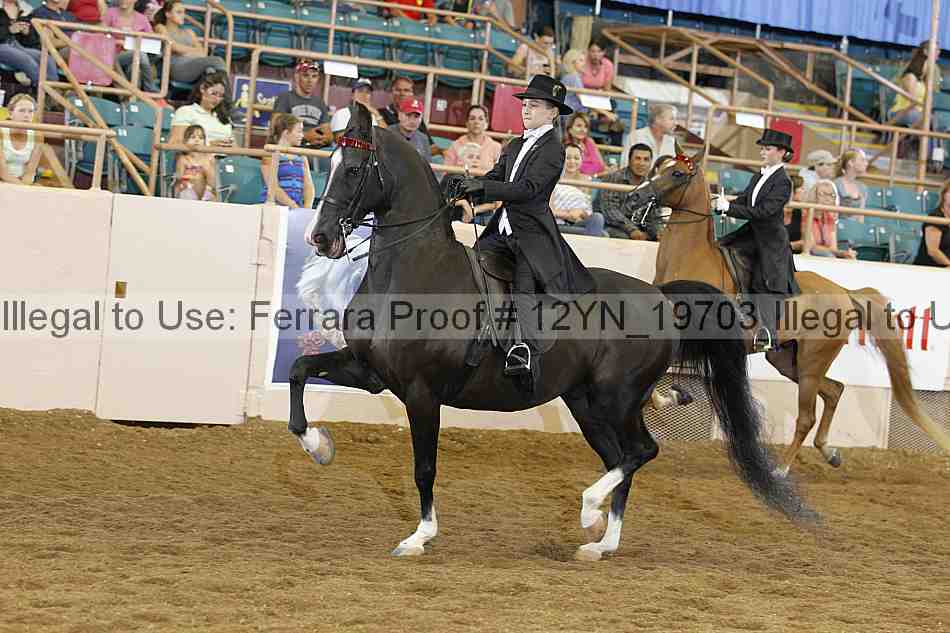 Proof 12yn_19703