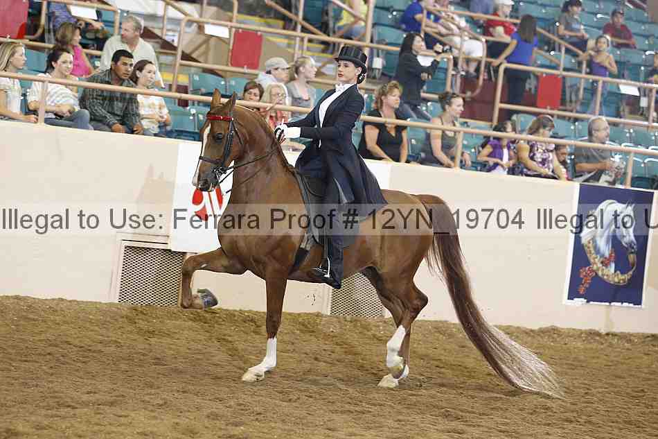 Proof 12yn_19704