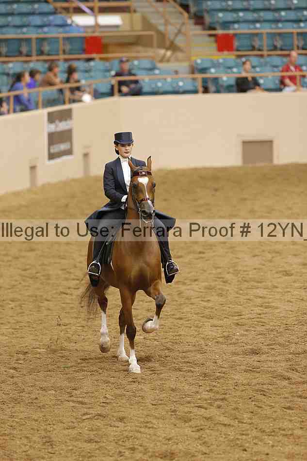 Proof 12yn_19709