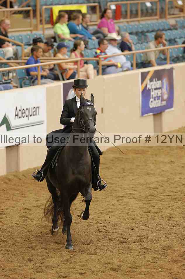 Proof 12yn_19714