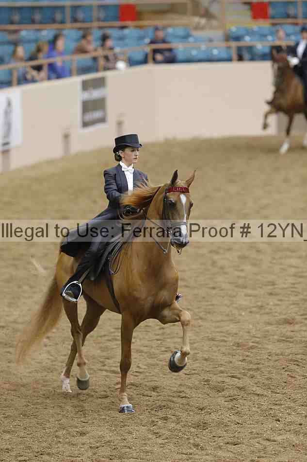 Proof 12yn_19715