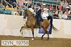 12yn_19758 proof