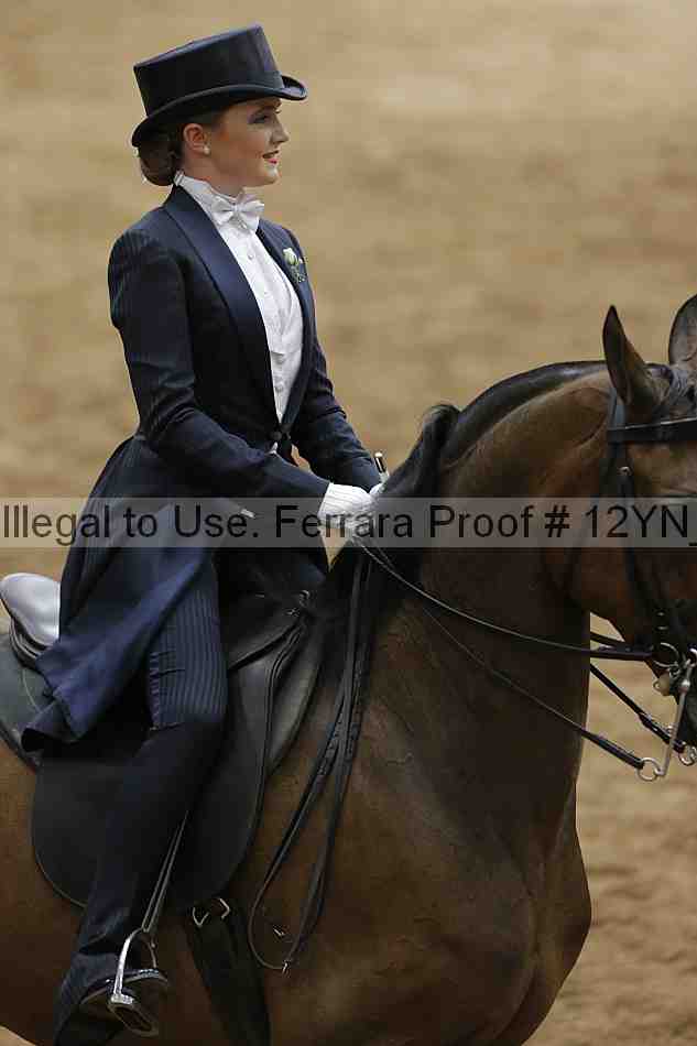 Proof 12yn_19764