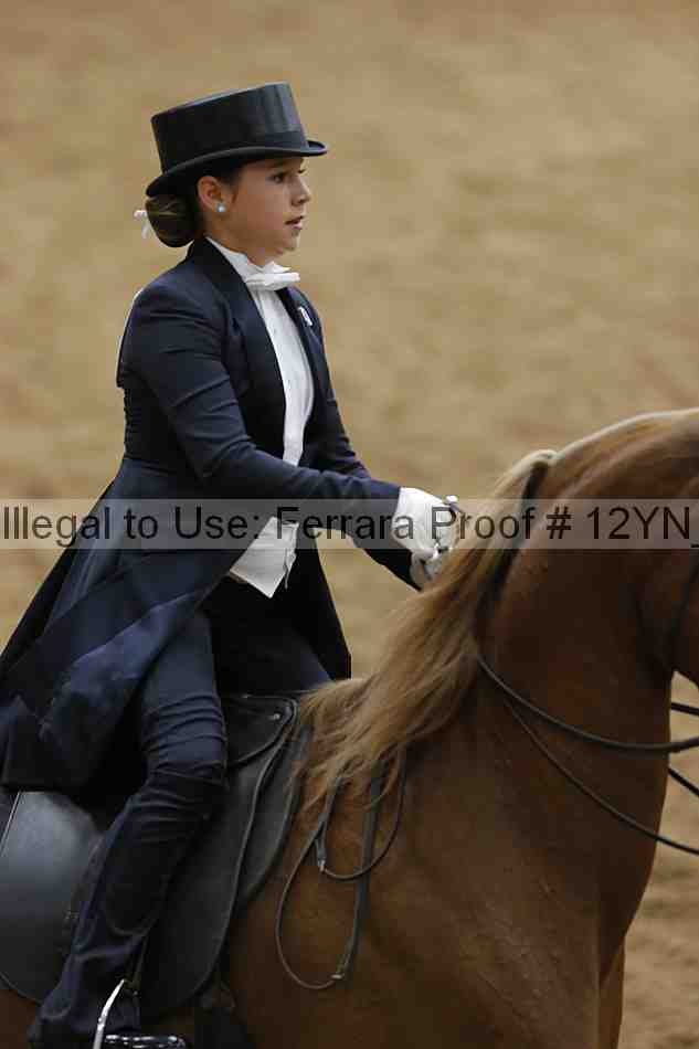 Proof 12yn_19775
