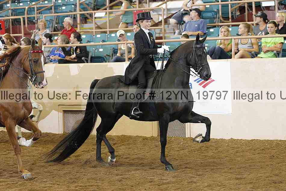 Proof 12yn_19797
