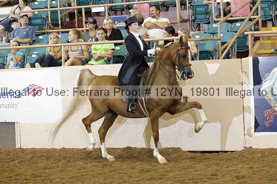 Proof 12yn_19801