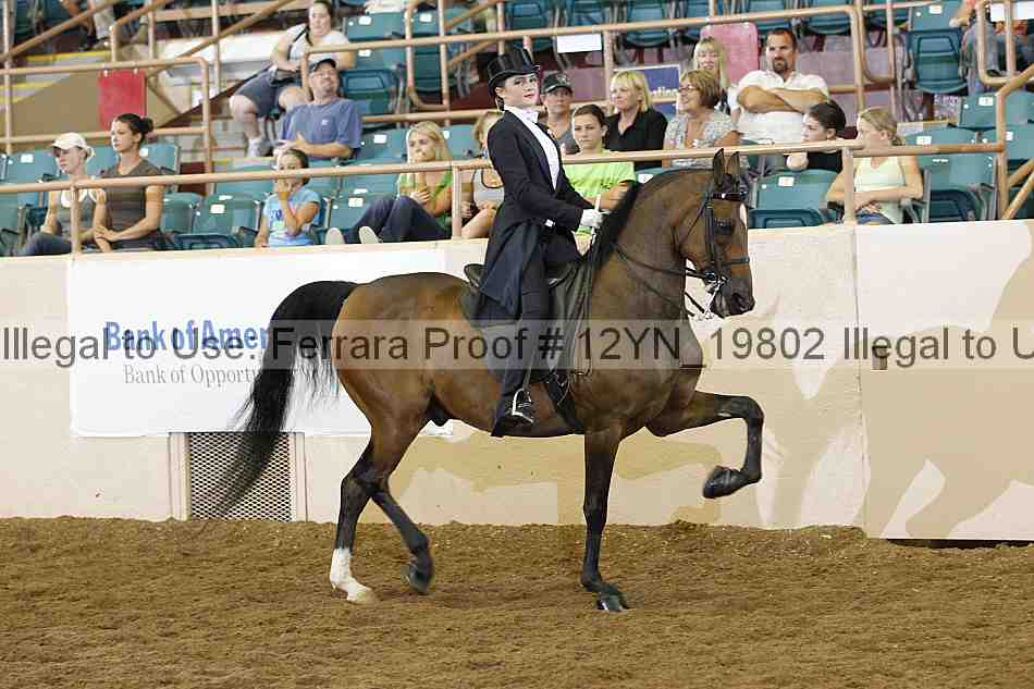 Proof 12yn_19802
