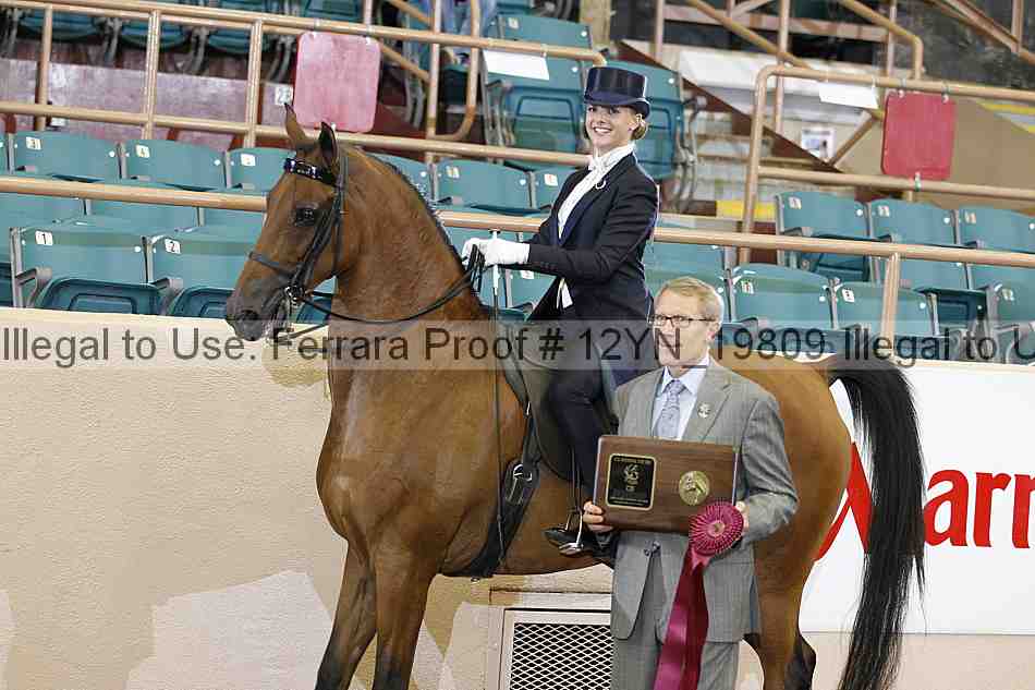 Proof 12yn_19809