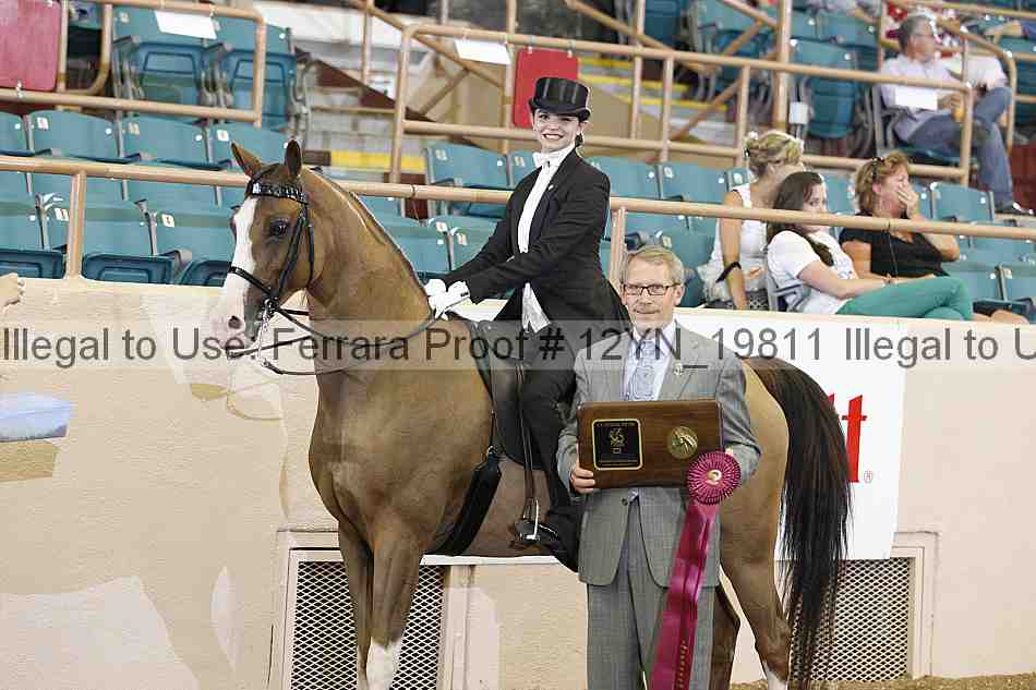 Proof 12yn_19811